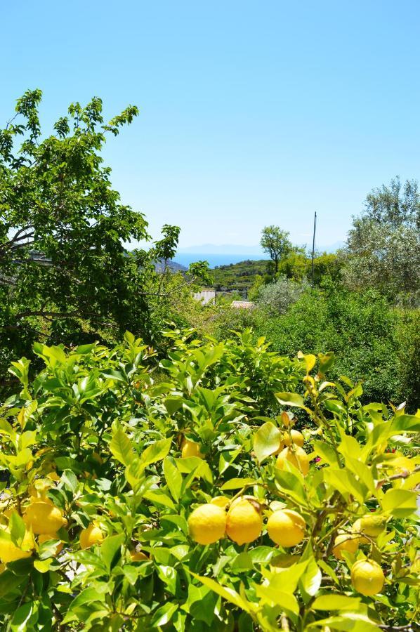 Alikias Country House Panormos  Exteriér fotografie