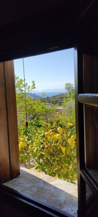Alikias Country House Panormos  Exteriér fotografie