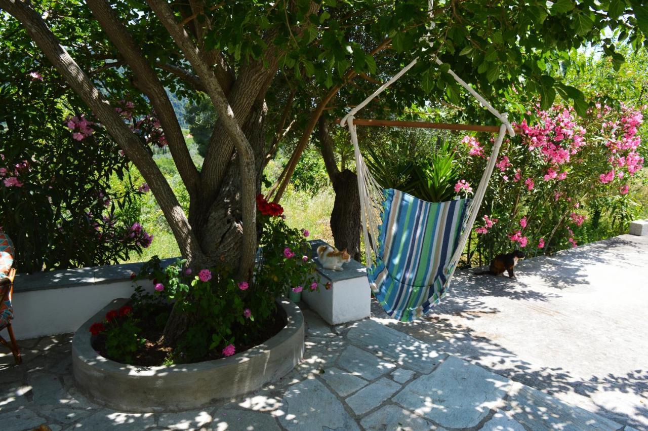 Alikias Country House Panormos  Exteriér fotografie