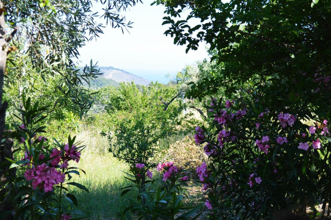 Alikias Country House Panormos  Exteriér fotografie