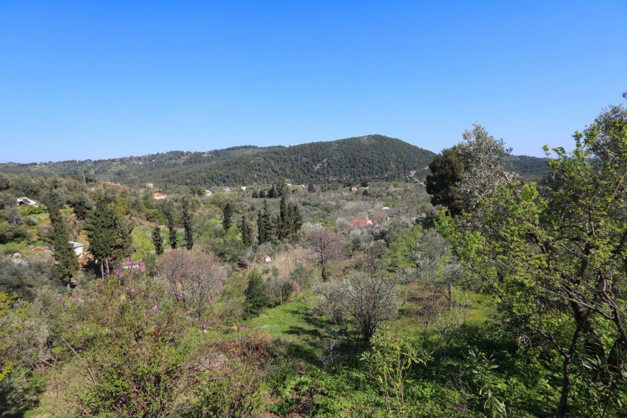 Alikias Country House Panormos  Exteriér fotografie