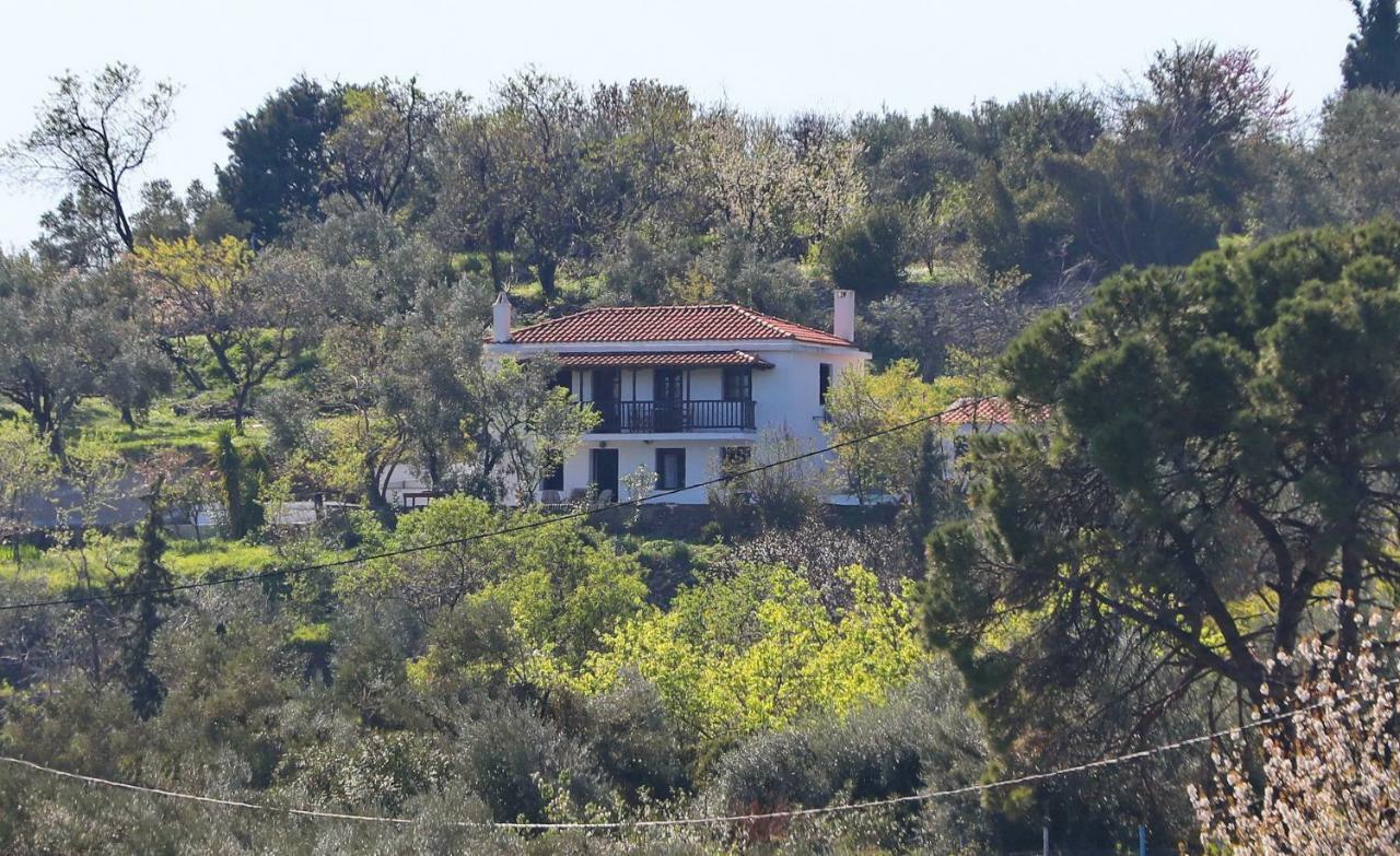 Alikias Country House Panormos  Exteriér fotografie